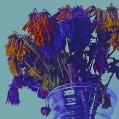 Flowers In Their Absence