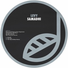 PREMIERE: Levy - That Type (DuBeats Remix) [Lisztomania Records]
