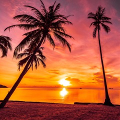 2025 Summer 🌅