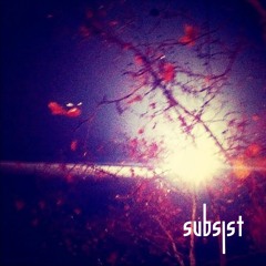 Premiere CF: Slow Life Program — Ear Damage [Subsist Records]