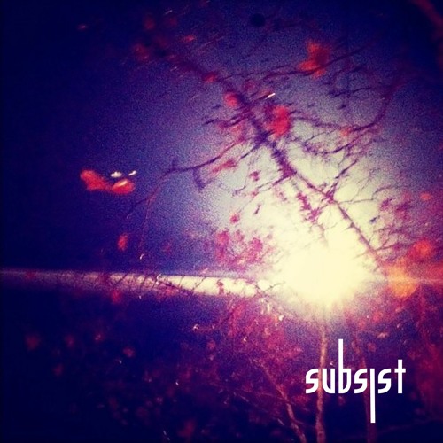 Premiere CF: Slow Life Program — Ear Damage [Subsist Records]