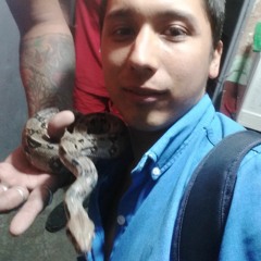 corrido tumbado belicoso