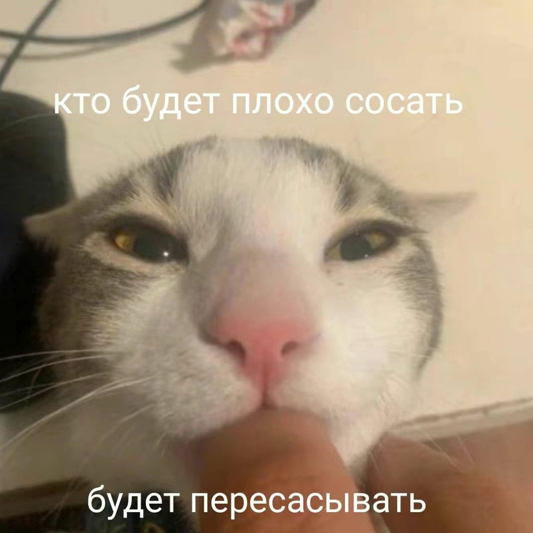 Қара нәсілділер күйеуінің алдында сиқырлайды