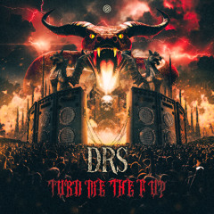DRS - Turn Me The F Up (Radio Edit)