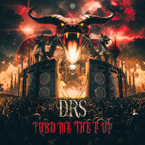 DRS - Turn Me The F Up (Radio Edit)
