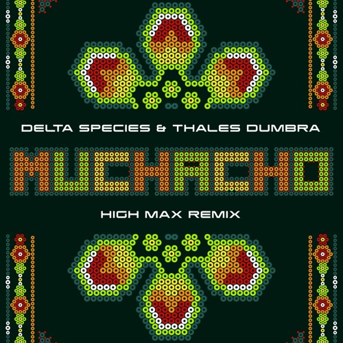 Delta Species & Thales Dumbra - Muchacho ( High Max Remix) @Alien Records