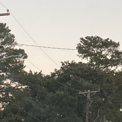 movinglikeazombieremix (p. odece)