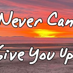 Never Can Give You Up! (Full length - Remixed)