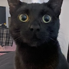 the eyes of a killer