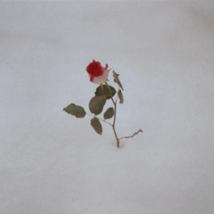 Janus x Rizzy Rails x Keta Kat - water