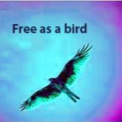 Free as a bird