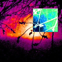 destiny (fiftyzeroes)