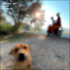 Sex Mix 029: Glint