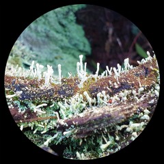 Featherstone - Out Of Reach