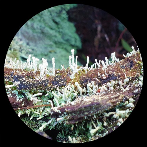 Featherstone - Out Of Reach