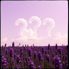 questions