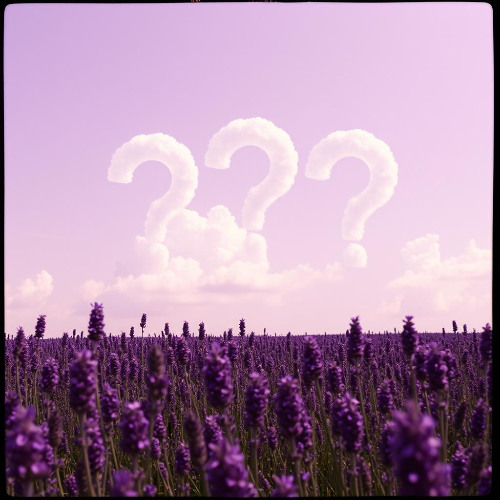 questions