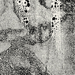 Forest Fever dream. (ST12 Extract)