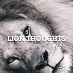 Lion Thoughts - Kael Sott