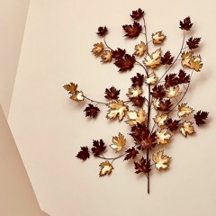 Quarantine Chronological