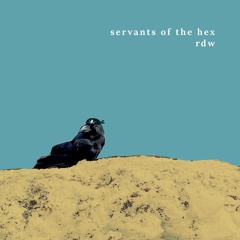 Servants of the Hex