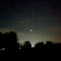 Diente - waiting for u