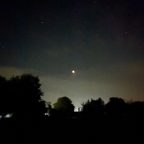 Diente - waiting for u