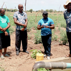 Teknolojia na ushirikiano vinavyotatua changamoto za tabianchi - wakulima wa maeneo kame Kenya