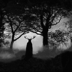 dum dum girls - coming down cover