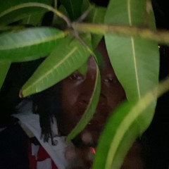 Caribbean/D&B and everything in between playlist