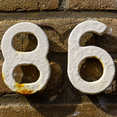 86 freestyle