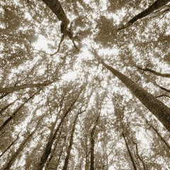 သောကြာနေ့ [Demo]