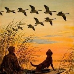 ANIMA - (7571 - Endless Summer) Edit