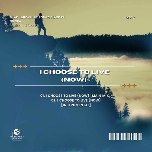 I Choose To Live Now (Main Mix)(Sample)