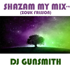 DJ Gunsmith - Shazam My Mix #42 (Zouk frisson)