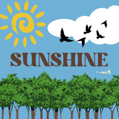 sunshine prod. pk