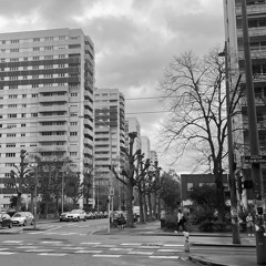 OCTAVIO - COMME LE FER