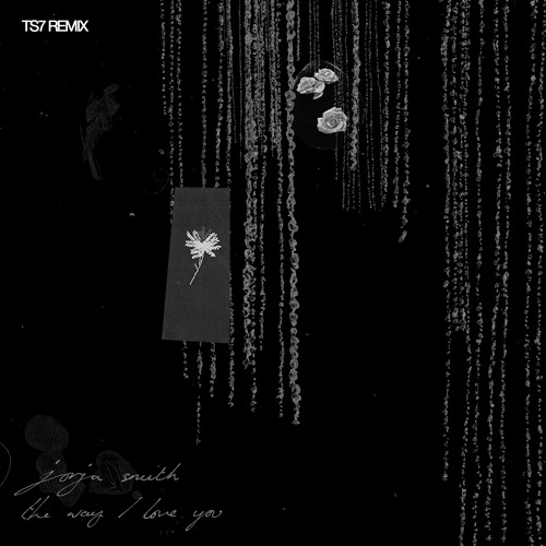 The Way I Love You (TS7 Remix)