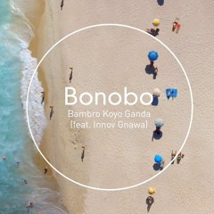 Bonobo Feat. Innov Gnawa - Bambro Koyo Ganda(Singlep 2021 Remix)
