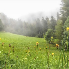 Beautiful Meadow (LB Approved) by Jarrod Kailef - SotA TTF Track (The Long Walk)