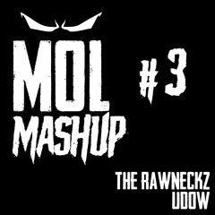 THE RAWNECKZ X UDOW - MOLMASHUP #3