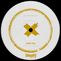 David Paul - Mikey's Groove