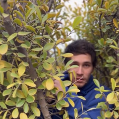 the long walk (manuel padilla)