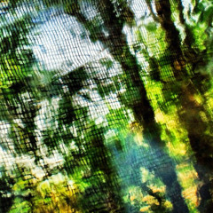 forest friends forever w/ Satyrfang