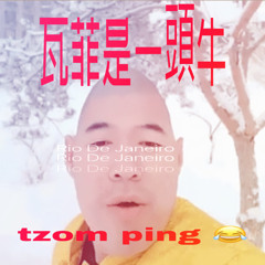 tzom ping freestyle