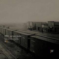 PWCCA - Adaptacion Evolutiva IW007 out !
