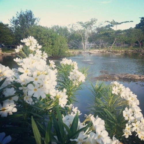 🦷🍀B1MB0_D0LL!!!🪼🦈BR34KCOR3_RMIX!#!