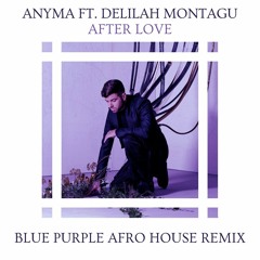 Anyma - After Love Ft. Delilah Montagu (Blue Purple Afro House Remix)
