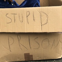 stupid prison