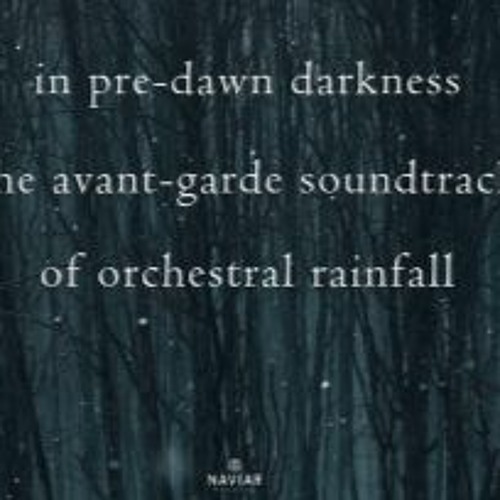 Avant-garde rainfall (naviarhaiku510)